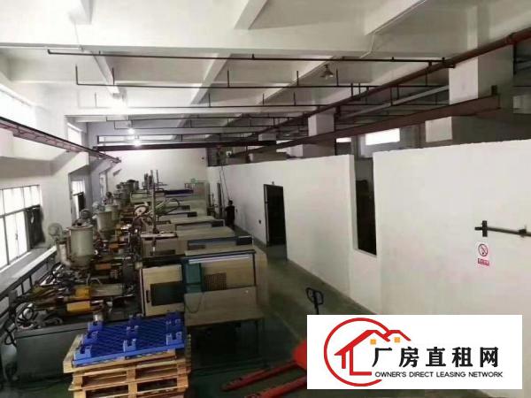  凤岗靠深圳平湖五金注塑模具一楼厂房1100平出租6米高