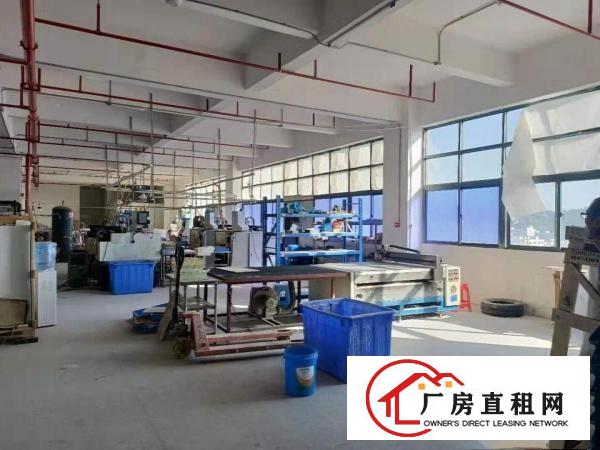  凤岗产业园手机玻璃可以做点小污染厂房楼上1100平方出租
