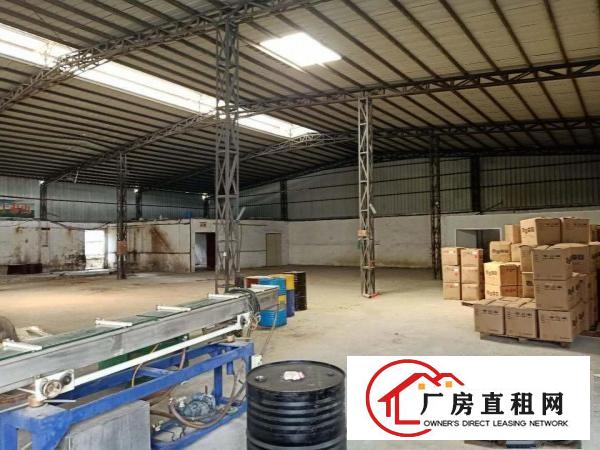  凤岗马路边上新出独院钢构厂房2500平米合适各行业7米高