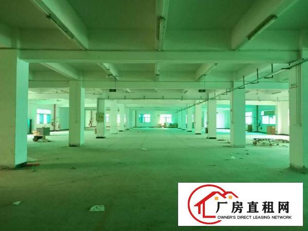  凤岗好招工厂房招租11500平方主干道上近深圳可分租