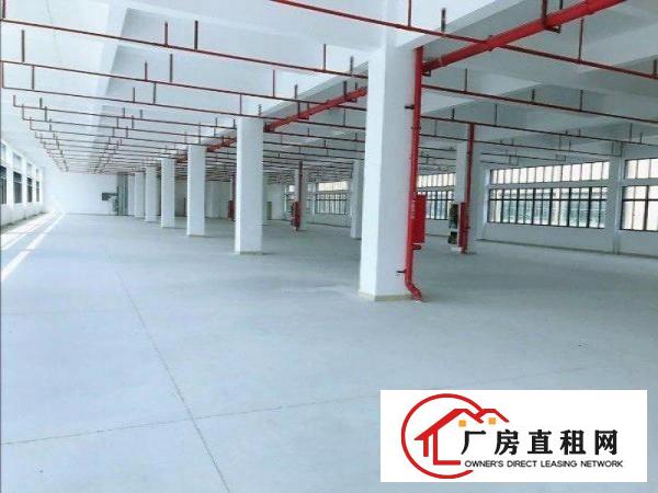  凤岗业主工业园全新厂房每层2100平方14元