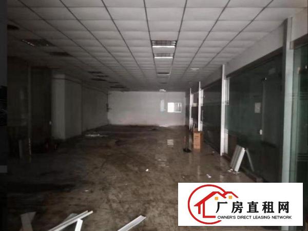  五联村新出一楼厂房1200平，租金便宜，无公摊原房东