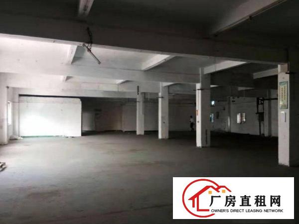  竹塘村楼上新出950平厂房出租带电梯可办环评交通便利
