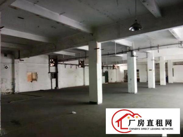  竹塘村楼上新出950平厂房出租带电梯可办环评交通便利