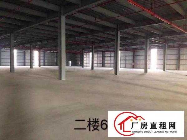  天堂围村新出独院5000平方厂房，面积实在，水电齐全