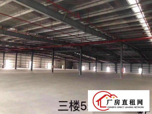  天堂围村新出独院5000平方厂房，面积实在，水电齐全