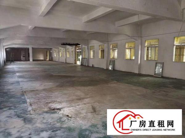  凤岗小独院2000平米招租临近路边