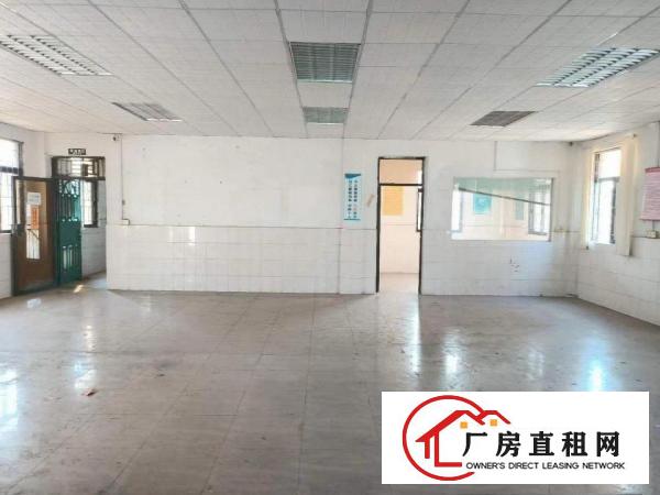  凤岗小独院2000平米招租临近路边