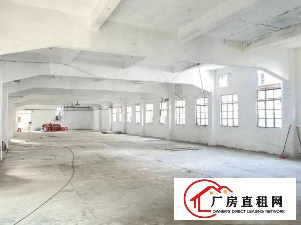  凤岗小独院2000平米招租临近路边