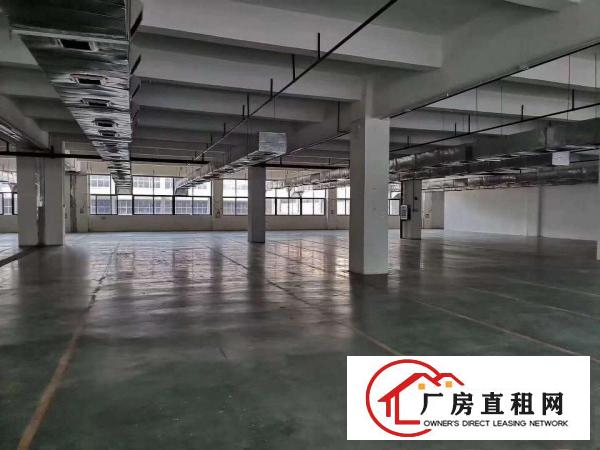  凤岗金凤凰电子组装电池加工厂房出租有绿色地坪漆
