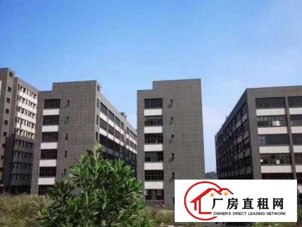  凤岗金凤凰电子组装电池加工厂房出租有绿色地坪漆