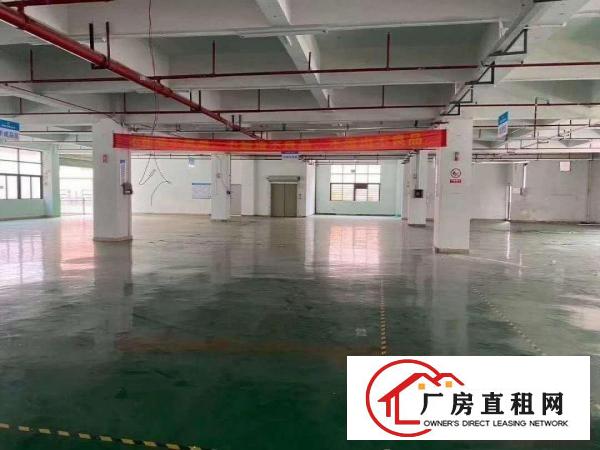  凤岗金凤凰电子组装电池加工厂房出租有绿色地坪漆