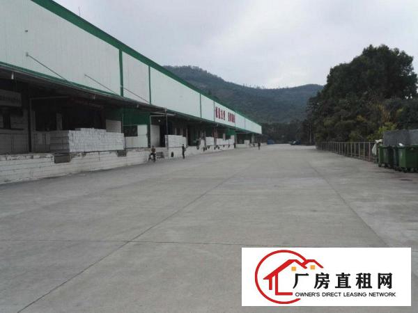  清溪近凤岗丙二类物流仓库出租卸货平台近高速路口