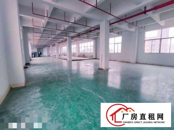  东深二线旁带装修厂房出租楼上整层2000平米价格实惠