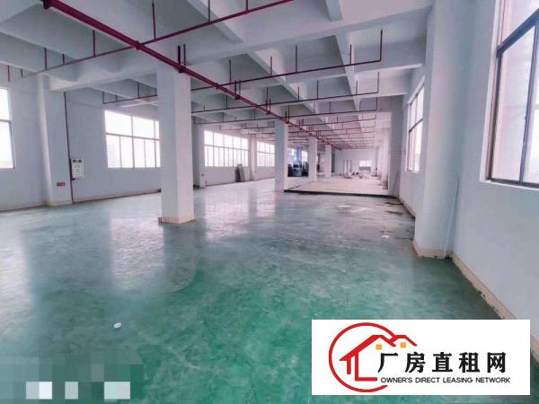  东深二线旁带装修厂房出租楼上整层2000平米价格实惠