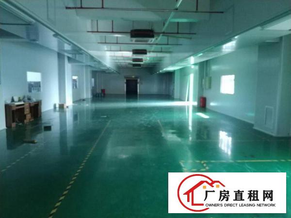  凤岗近深圳楼上电子数据线厂房出租3300平精装修办公室