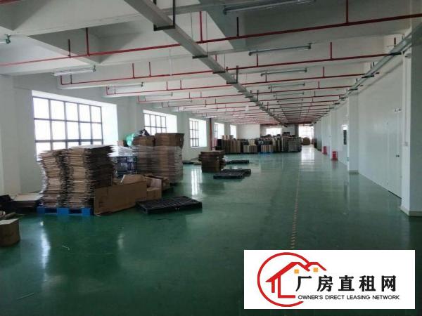  凤岗近深圳楼上电子数据线厂房出租3300平精装修办公室