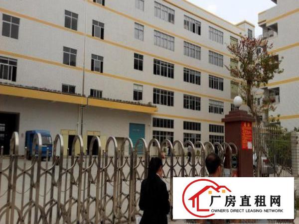  凤岗大型产业园厂房出租！小分租1000平米
