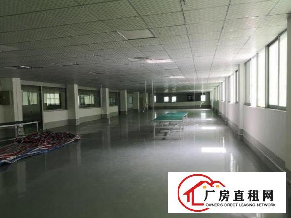  凤岗凤德岭楼上1300平米带豪华精装修厂房出租
