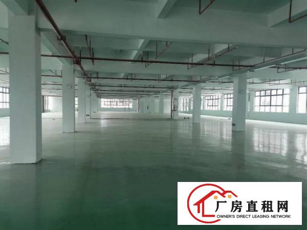  凤岗塘沥原房东标准厂房出租1000平方现成五金喷油抛环评