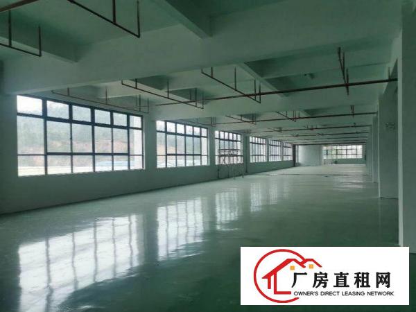  凤岗塘沥原房东标准厂房出租1000平方现成五金喷油抛环评