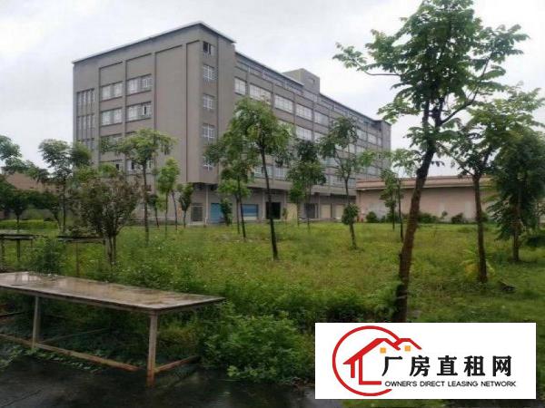  凤岗黄洞厂房1400平出租带房产证，可做小污染包办环评