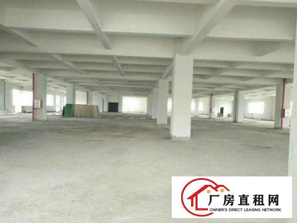 出租凤岗雁田原房东小独院标准厂房1200平米包办环评