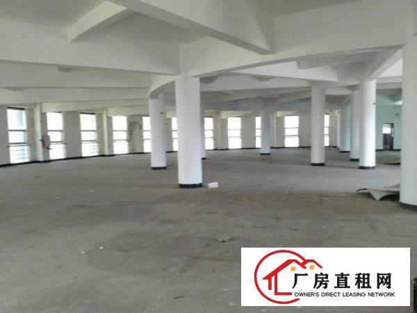  出租凤岗雁田原房东小独院标准厂房1200平米包办环评