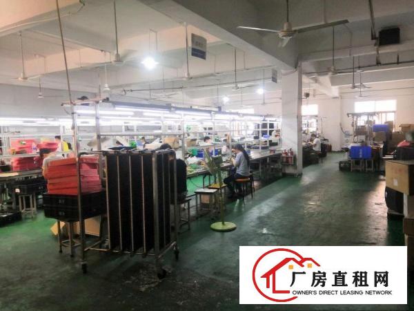  凤岗雁田布心工业区无公摊原房东厂房三楼1200平方，适合电子
