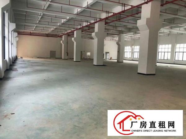  凤岗标准一楼6米高厂房1100平方米出租带牛角价格优惠