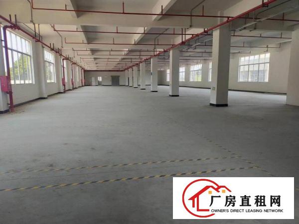  现成装修单层面积1000平方