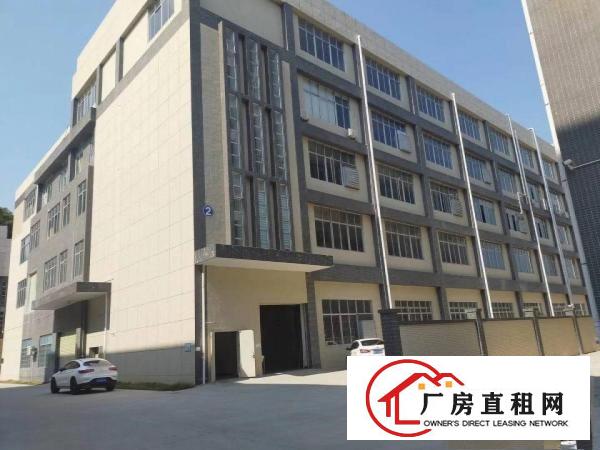  现成装修单层面积1000平方
