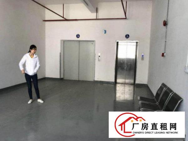  凤岗天堂围工业区厂房每层1500平方！可分层出租！现成装修