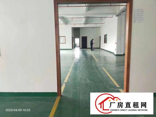  金凤凰新出楼上一整层厂房1600平方水电齐全，豪华装修办公室