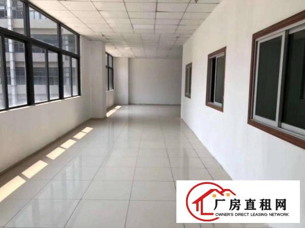  金凤凰新出楼上一整层厂房1600平方水电齐全，豪华装修办公室
