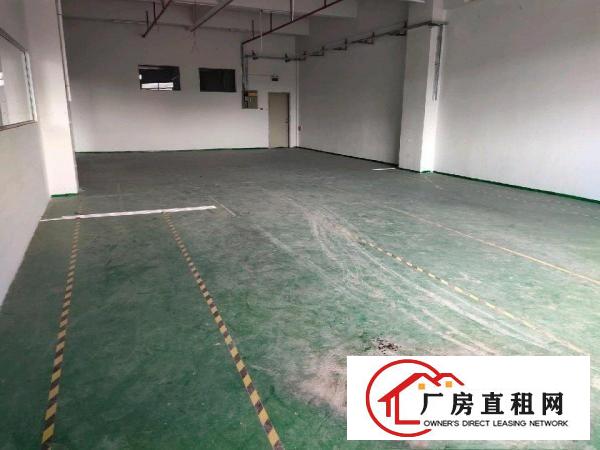  现成装修，豪华办公室
