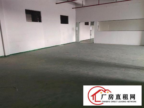 现成装修，豪华办公室