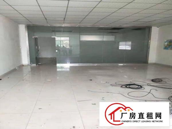  凤岗五联单一层钢结构厂房出租3000平近深圳观兰平湖