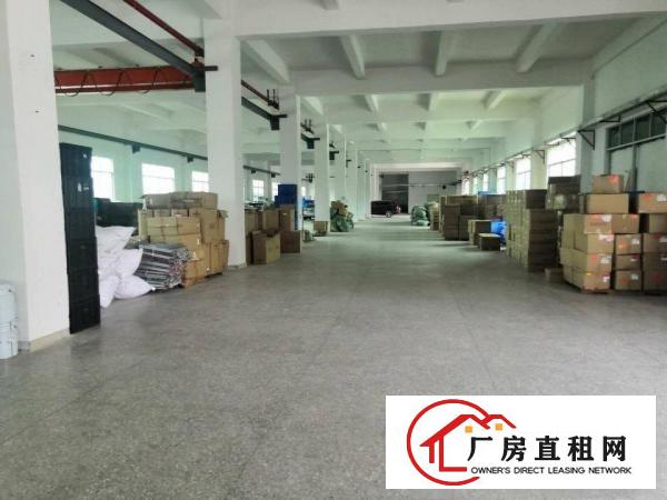  凤岗镇金凤凰村原房东一楼实际面积1800平行车免费使用