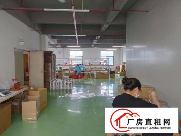 凤岗雁田楼上带精装修办公室地坪漆厂房出租750平方