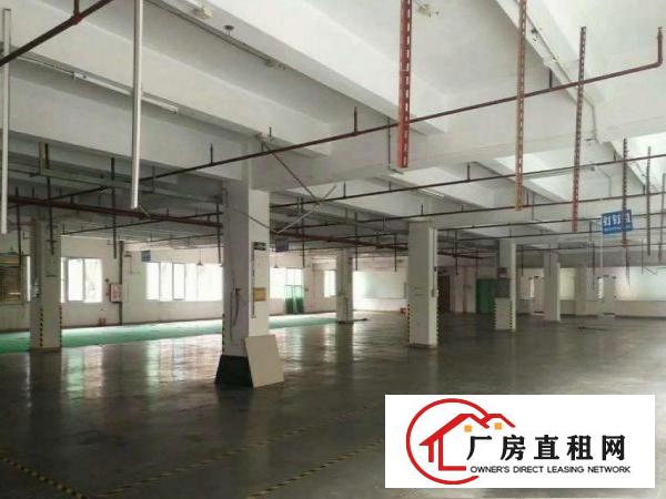  凤岗塘沥工业区分租楼上1600平方现成地坪漆豪华装修