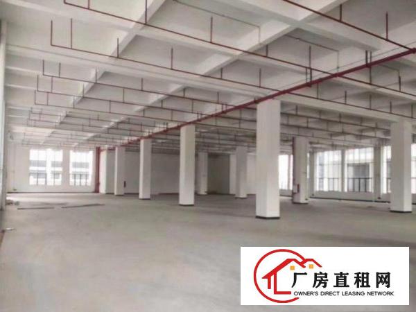  凤岗黄洞工业区分租原房东标准厂房二楼1300平方