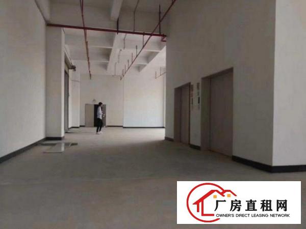  凤岗黄洞工业区分租原房东标准厂房二楼1300平方