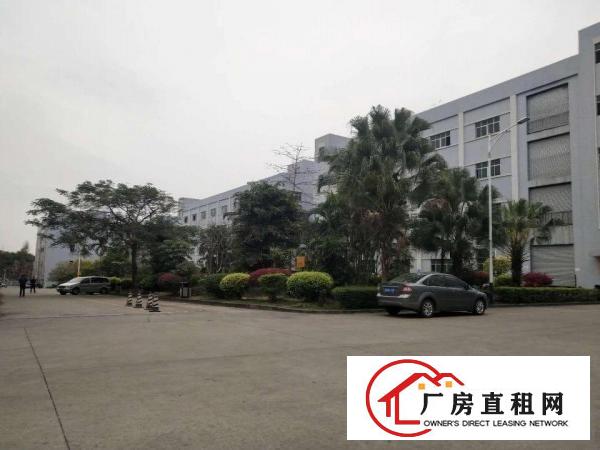  凤岗原房东一楼厂房）零公摊1500平米带水电厂房出租