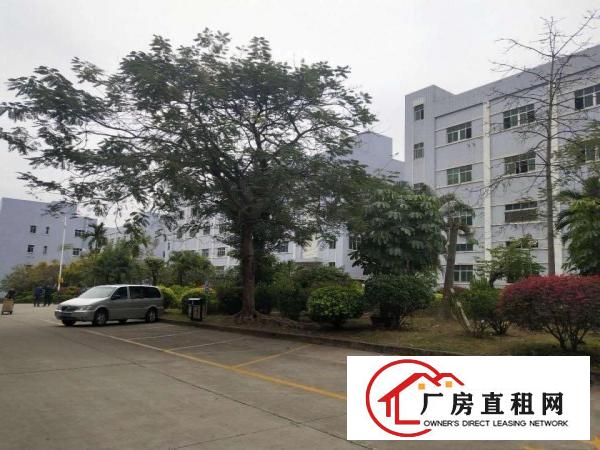  凤岗原房东一楼厂房）零公摊1500平米带水电厂房出租