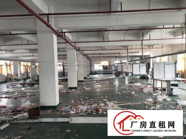  凤岗成熟工业区楼上厂房出租1600平方，一整层现成豪华装修