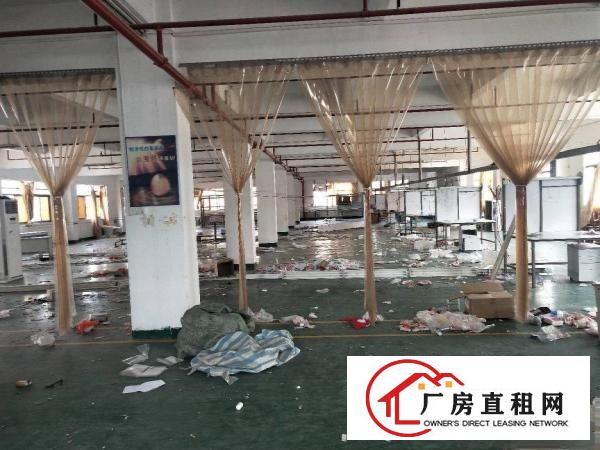  凤岗成熟工业区楼上厂房出租1600平方，一整层现成豪华装修