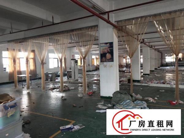  凤岗成熟工业区楼上厂房出租1600平方，一整层现成豪华装修