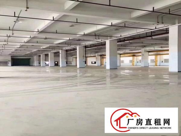  带行车一楼现成办公室装修
