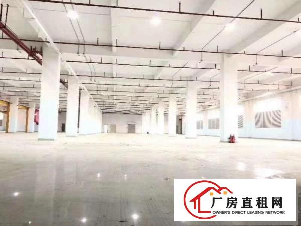  带行车一楼现成办公室装修